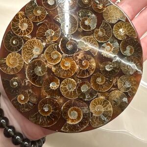 Fossil Ammonite Decorative Plate - Brown